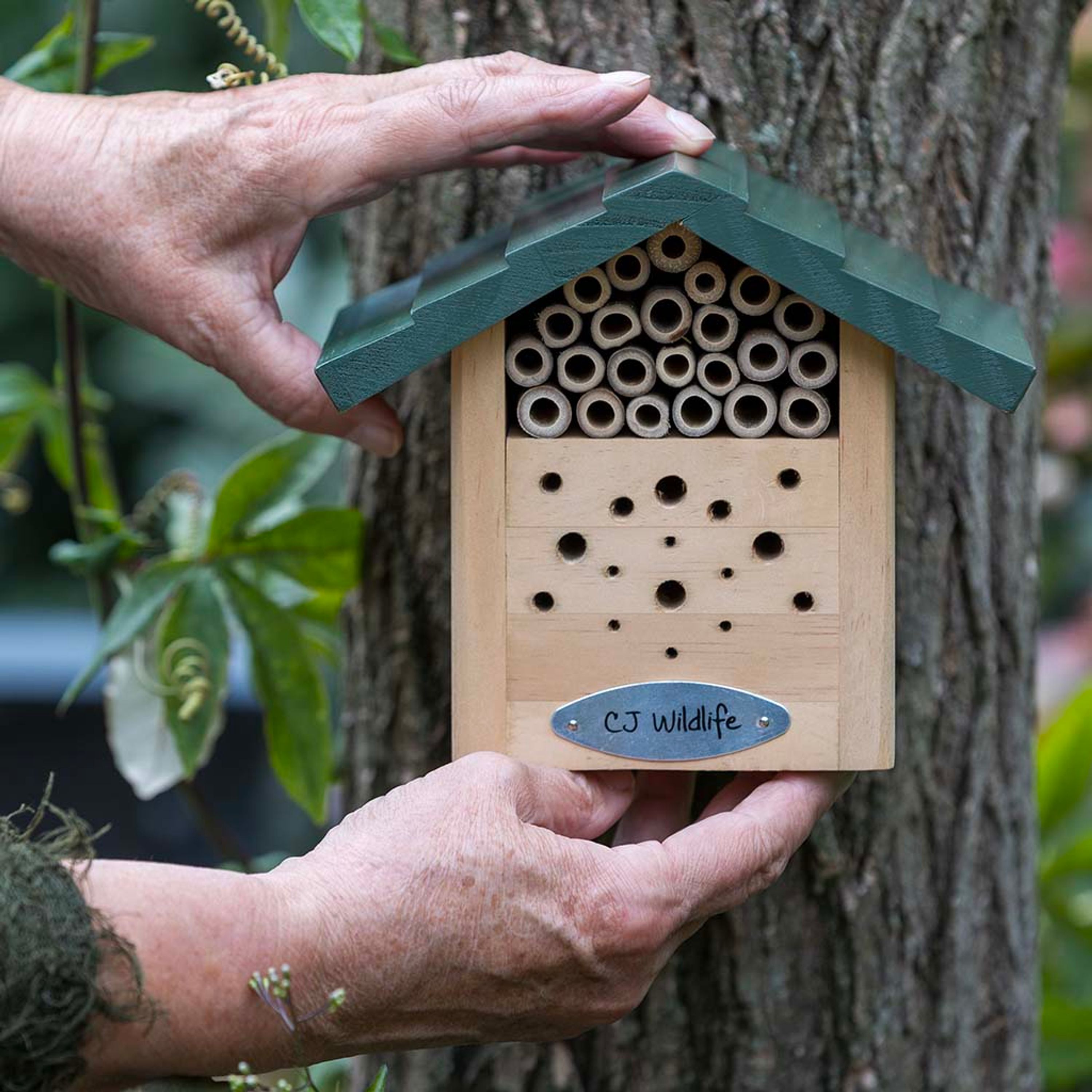 Alpine Bienenhotel „Gastein“ | CJ Wildlife